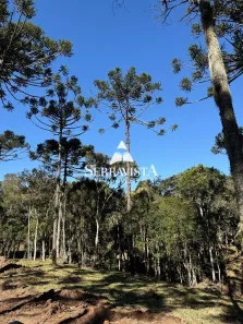 Fazenda/Sítio com 1 Quarto à venda, 20000m² no Rio Vermelho Povoado, São Bento do Sul