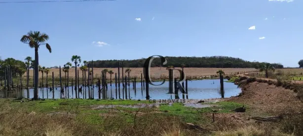 Fazenda/Sítio à venda, 66m² no , Mairipotaba
