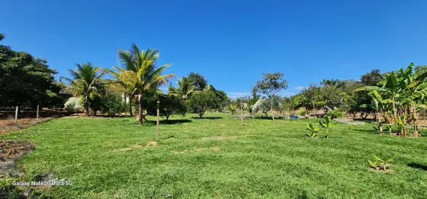 Fazenda/Sítio com 3 Quartos à venda, 8000m² no , Brasília