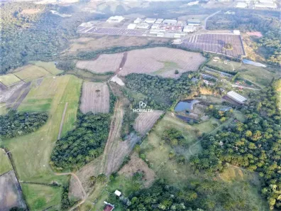 Lote/Terreno à venda, 252000m² no Campo Largo da Roseira, São José dos Pinhais