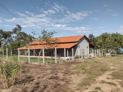 Fazenda/Sítio com 3 Quartos à venda, 193600m² no , Porto Nacional