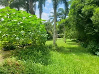 Lote/Terreno à venda, 2522m² no Vila Amélia, São Paulo