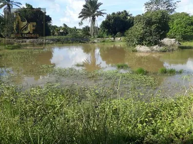 Fazenda/Sítio com 4 Quartos à venda, 150000m² no Zona Rural, Rio Grande