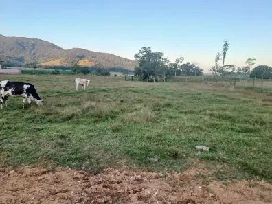 Lote/Terreno à venda, 5000m² no Areias de Cima (Guaporanga), Biguaçu