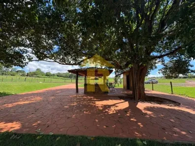 Lote/Terreno à venda, 4000m² no Chácara Recreio Nossa Senhora do Líbano (Zona Rural), São José do Rio Preto