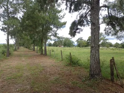 Fazenda/Sítio com 1 Quarto à venda, 870000m² no Vila Paulista, Taubaté