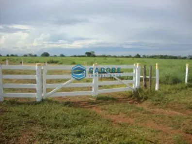 Fazenda/Sítio à venda, 500m² no Área Rural de Palmas, Palmas