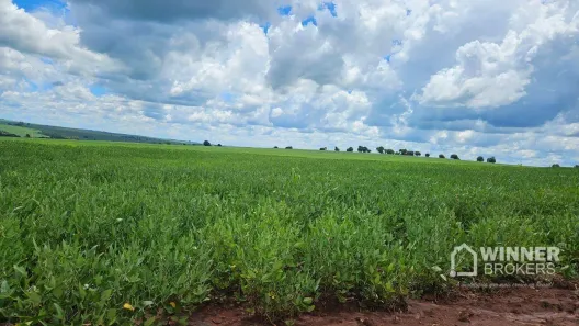 Fazenda/Sítio com 1 Quarto à venda, 423500m² no Parque Industrial Mário Bulhões, Maringá