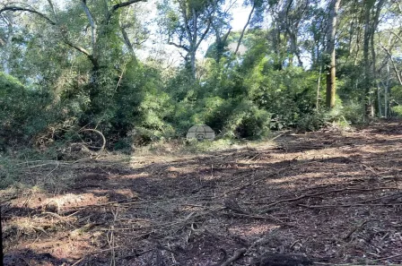 Fazenda/Sítio à venda, 24516m² no Área Rural de Pato Branco, Pato Branco