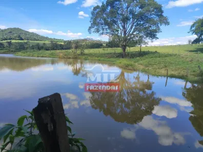Fazenda/Sítio à venda, 500m² no , Anicuns