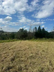 Fazenda/Sítio à venda, 1000m² no Jardim Vitoria, Mairinque