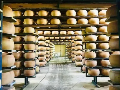 Fazenda/Sítio à venda, 6146800m² no Área Rural de Pouso Alegre, Pouso Alegre