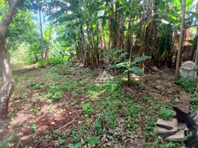 Lote/Terreno à venda, 308m² no Parque das Figueiras, Ribeirão Preto