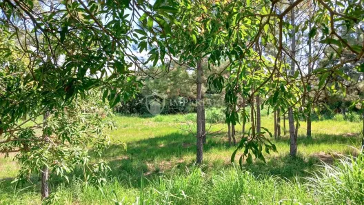 Lote/Terreno à venda, 3054m² no Chácara Flórida, Itu
