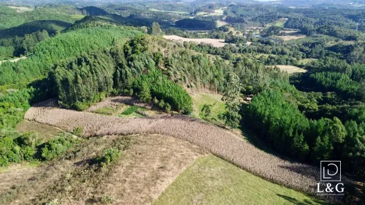 Fazenda/Sítio à venda, 32000m² no , Campo Alegre