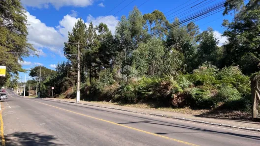 Lote/Terreno à venda, 4401m² no Tamandaré, Garibaldi