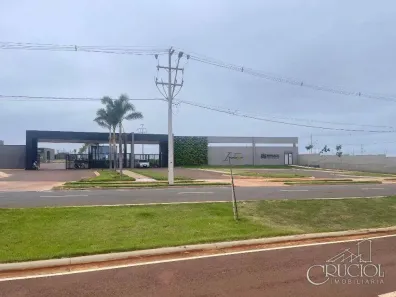 Lote/Terreno à venda, 318m² no Gleba Simon Frazer, Londrina