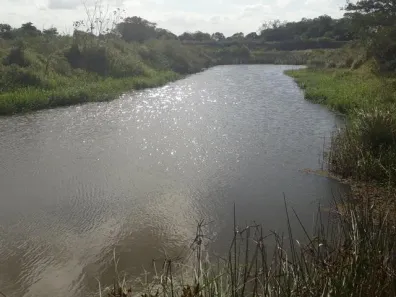 Fazenda/Sítio com 3 Quartos à venda, 200000m² no , Monte Alegre