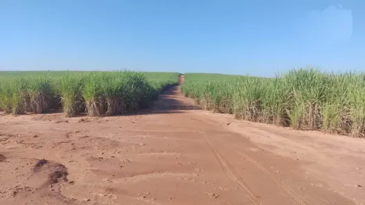 Fazenda/Sítio à venda, 2904000m² no Zona I, Umuarama