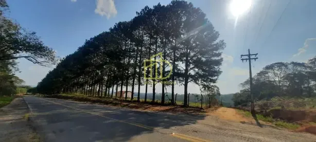 Fazenda/Sítio à venda, 10m² no Centro, Piedade