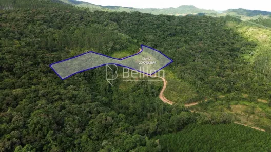 Lote/Terreno à venda, 20042m² no Santa Maria, Benedito Novo