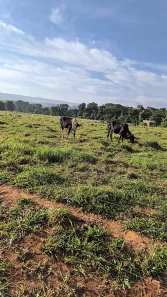 Fazenda/Sítio à venda, 55000m² no Arapoanga, Brasília
