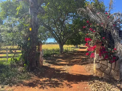 Fazenda/Sítio com 3 Quartos à venda, 532400m² no , Goianápolis
