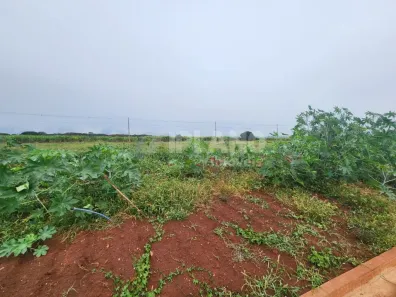 Lote/Terreno à venda, 201m² no Parque das Oliveiras II, Ribeirão Preto