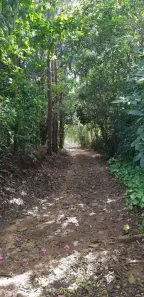 Fazenda/Sítio à venda, 800m² no Área Rural de Taubaté, Taubaté
