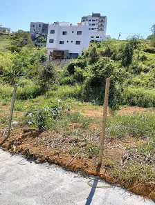 Lote/Terreno à venda, 356m² no Santos Dumont, Juiz de Fora