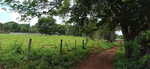Fazenda/Sítio com 3 Quartos à venda, 42000m² no Chácaras de Recreio Samambaia, Goiânia