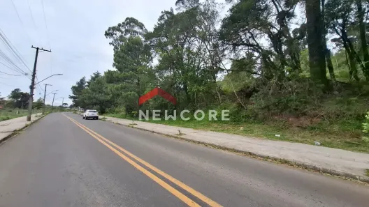 Lote/Terreno à venda, 360m² no Ulisses de Abreu, Canela
