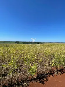 Fazenda/Sítio com 1 Quarto à venda, 174240m² no Jataizinho, Jataizinho