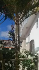 Sobrado com 3 Quartos à venda, 200m² no Vila Esperança, São Paulo
