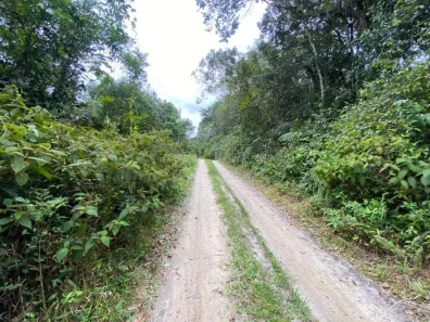 Lote/Terreno à venda, 2750m² no Jardim Coronel, Itanhaém