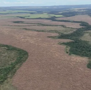 Fazenda/Sítio à venda, 150m² no , Nova Brasilândia D'Oeste
