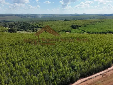 Fazenda/Sítio à venda, 1m² no Área Rural de Bauru, Bauru