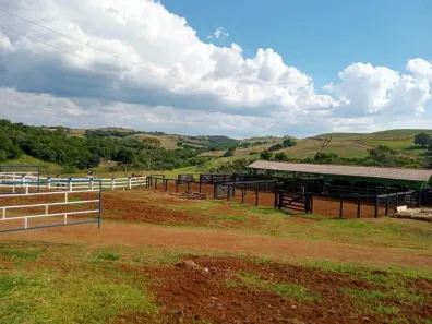Fazenda/Sítio à venda, 6969600m² no , Nova Tebas