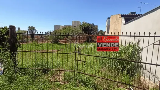 Lote/Terreno à venda, 1008m² no Vila Rugna, Arapongas