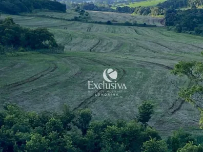 Fazenda/Sítio à venda, 653400m² no Assaí, Assaí