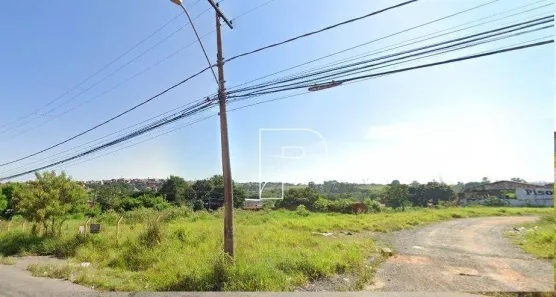 Lote/Terreno para alugar, 1000m² no Jardim Yeda, Campinas