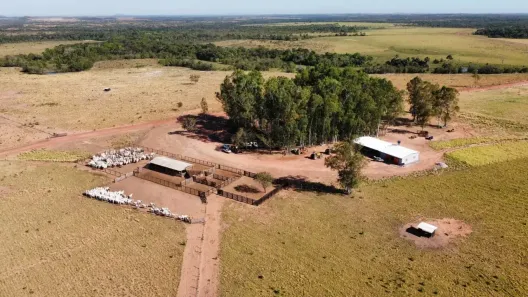 Fazenda/Sítio com 2 Quartos à venda, 800000m² no , Goianorte