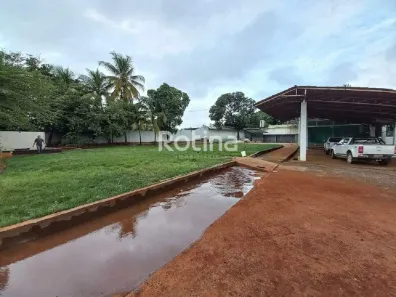 Galpão/Depósito/Armazém para alugar, 900m² no Osvaldo Rezende, Uberlândia