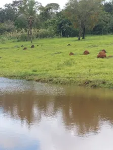 Fazenda/Sítio com 3 Quartos à venda, 31m² no , Corumbá de Goiás