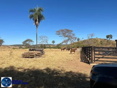 Fazenda/Sítio com 1 Quarto à venda, 37m² no Setor Central, Israelândia