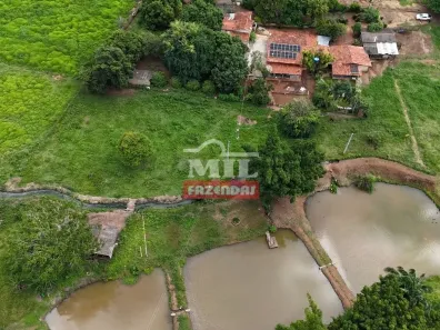 Fazenda/Sítio à venda, 500m² no Residencial Monte Alegre, Inhumas