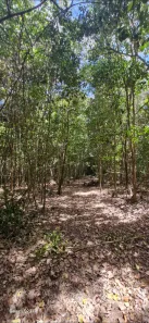 Fazenda/Sítio com 1 Quarto à venda, 1m² no , Planalto