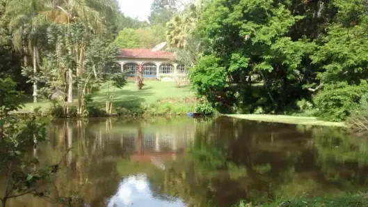 Fazenda/Sítio com 3 Quartos à venda, 93000m² no , Pinhalzinho