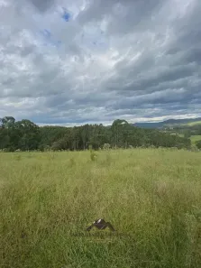 Lote/Terreno à venda, 20000m² no Urubici, Urubici