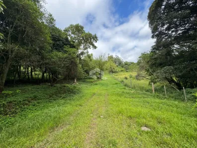 Fazenda/Sítio à venda, 70000m² no Carlos Barbosa, Carlos Barbosa